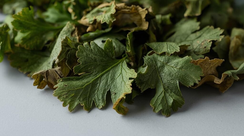 Dehydrated Coriander Leaves