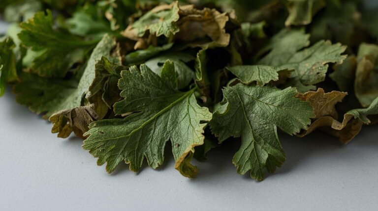 Dehydrated Coriander Leaves